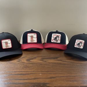Liney & Beauty Collection